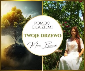 Posadź drzewo w Magicznej Oazie.