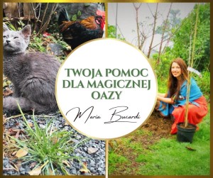 Pomagam Magicznej Oazie. 