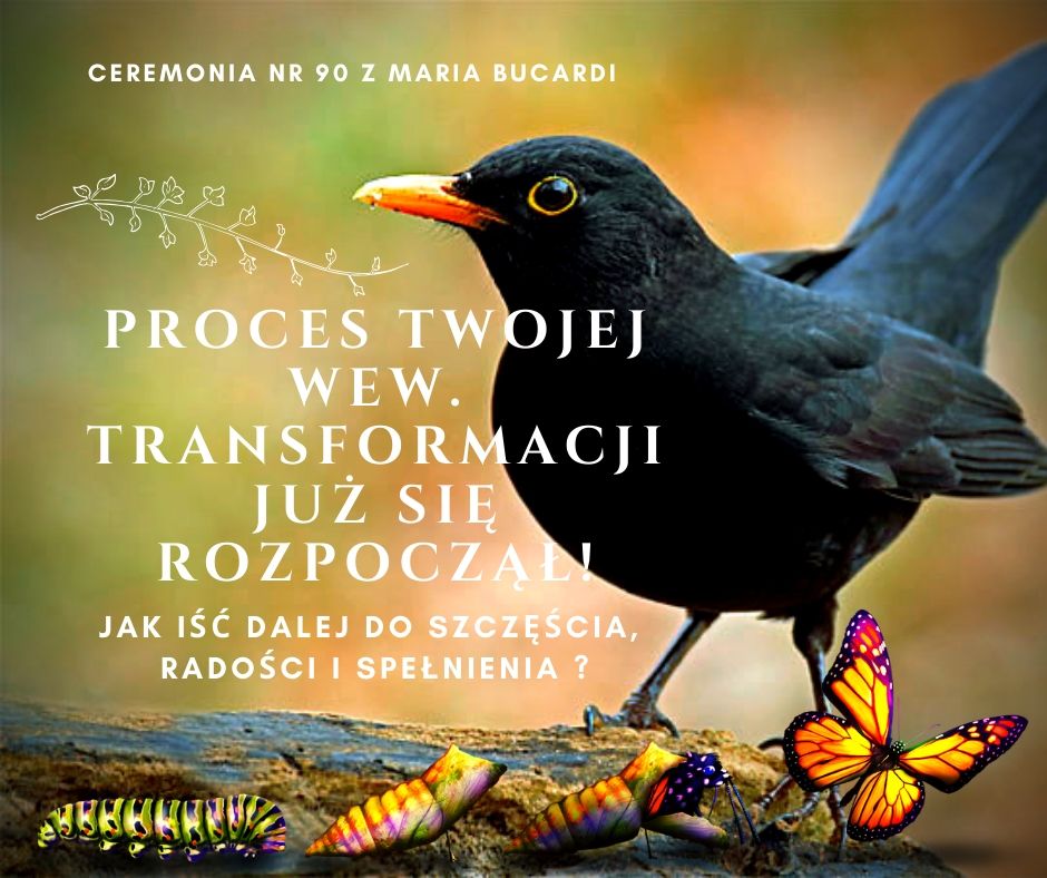 ak nie spocząć na laurach, gdy po wielu tygodniach wyrzeczeń i trudności, drogi przez pustynię nagle docierasz do zielonej oazy | 90 Ceremonia z Marią Bucardi | ONLINE | Prawie godzina dla Ciebie