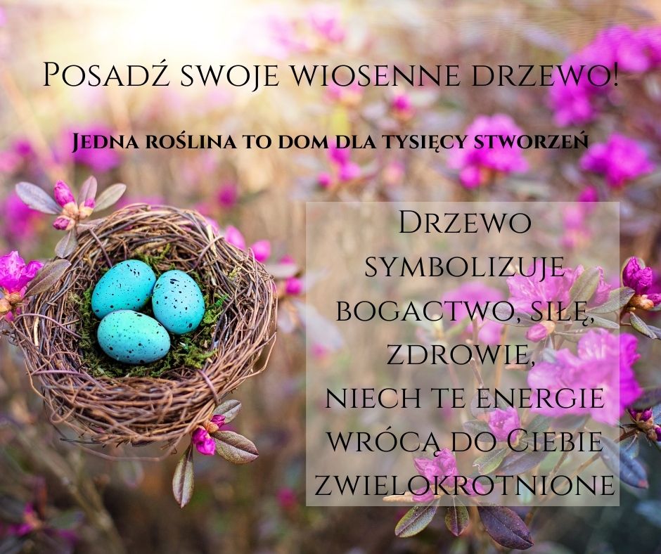 Posadź swoje wiosenne drzewo! Drzewo to symbol bogactwa, siły, zdrowia, niech te energie wrócą do Ciebie zwielokrotnione